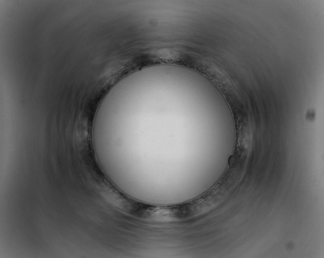 X0000101710518200807241459