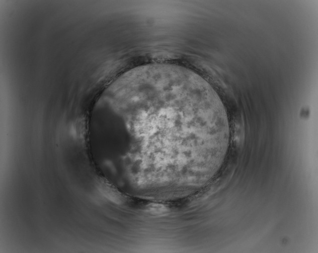 X0000101710519200807241459