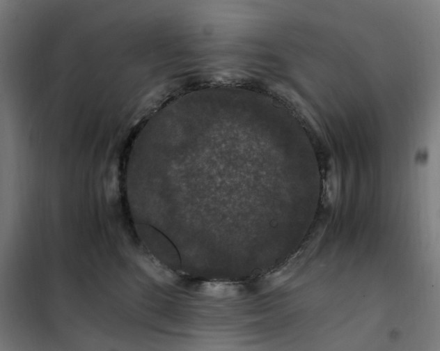 X0000101710520200807241459