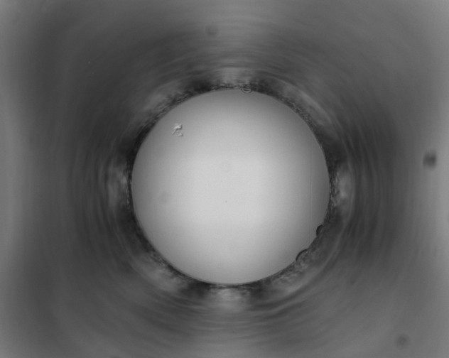 X0000101710522200807241458