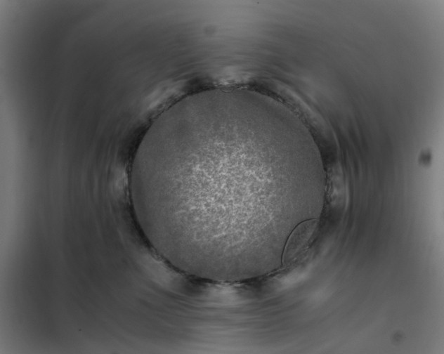 X0000101710523200807241458