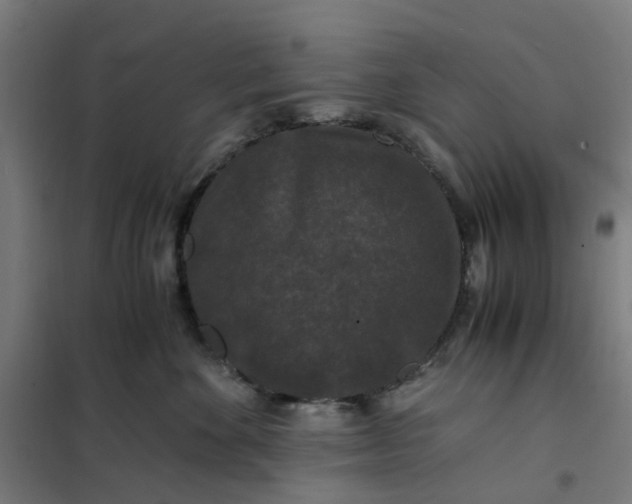 X0000101710524200807241458