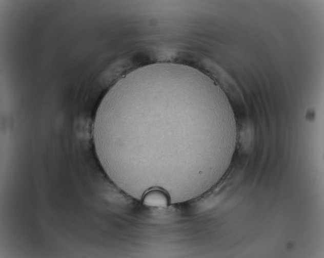 X0000101710525200807241458