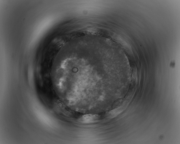 X0000101710526200807241458