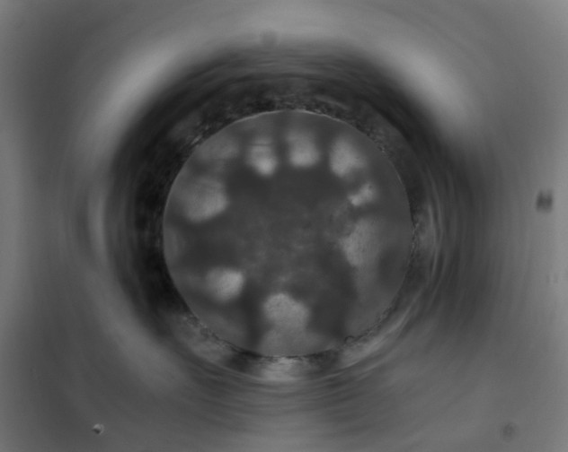 X0000101710527200807241458