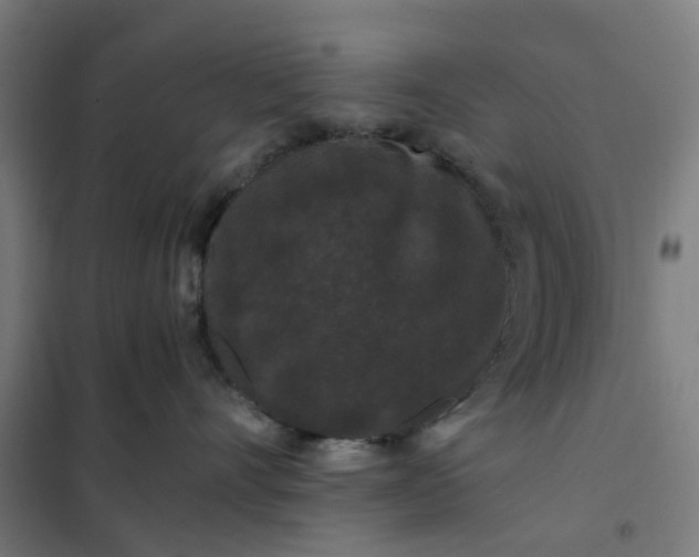 X0000101710528200807241458