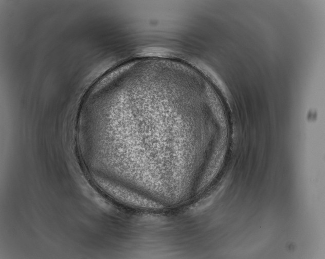 X0000101710529200807241458