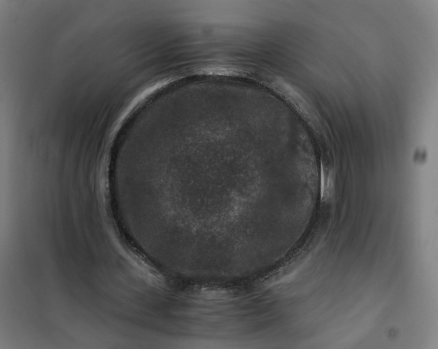 X0000101710531200807241458