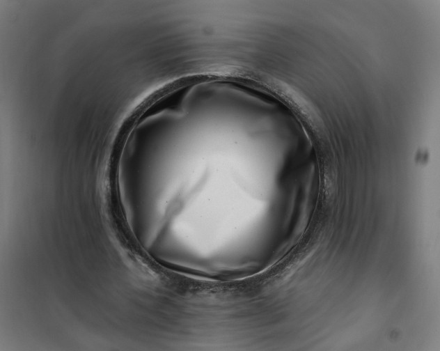 X0000101710532200807241458