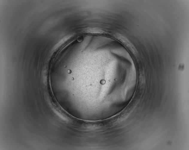 X0000101710533200807241458