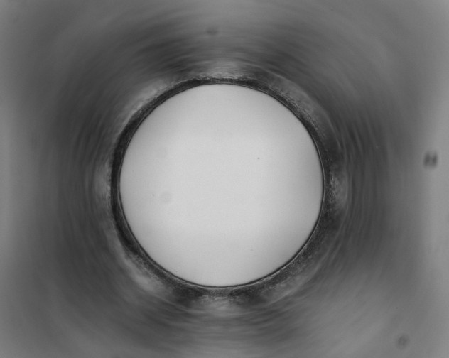 X0000101710534200807241458