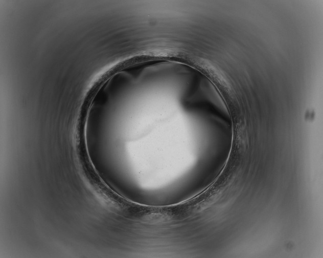 X0000101710536200807241458