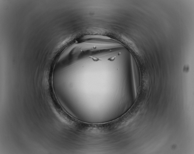 X0000101710538200807241458