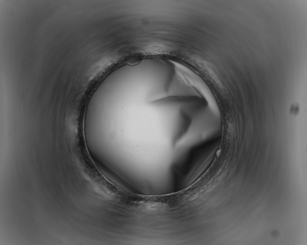 X0000101710539200807241458