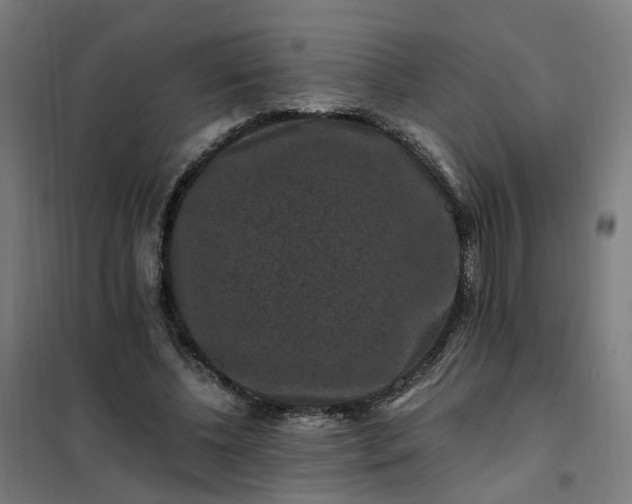 X0000101710540200807241458