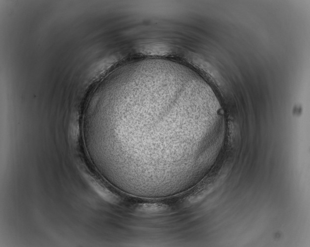 X0000101710541200807241458