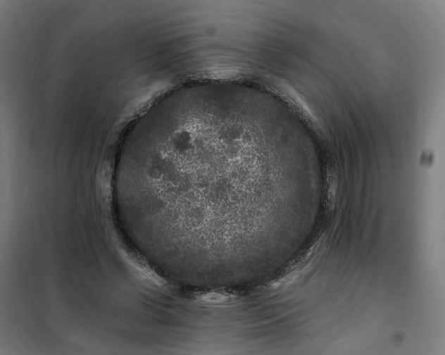 X0000101710542200807241458