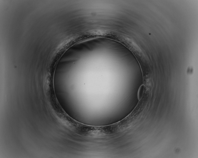 X0000101710544200807241458