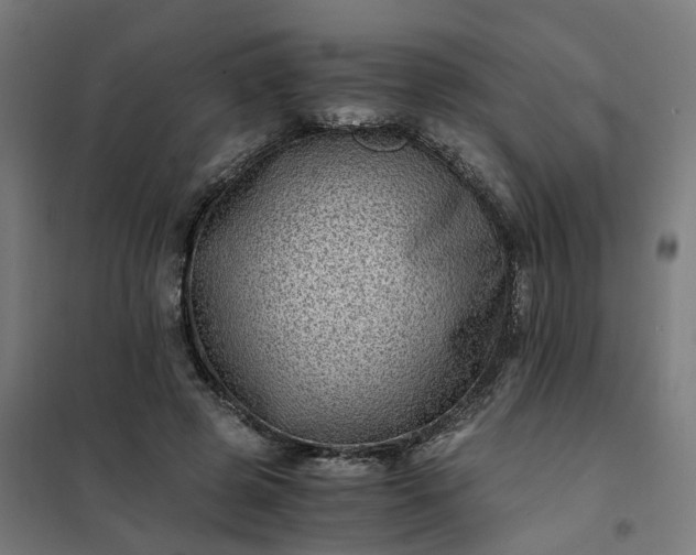 X0000101710545200807241458