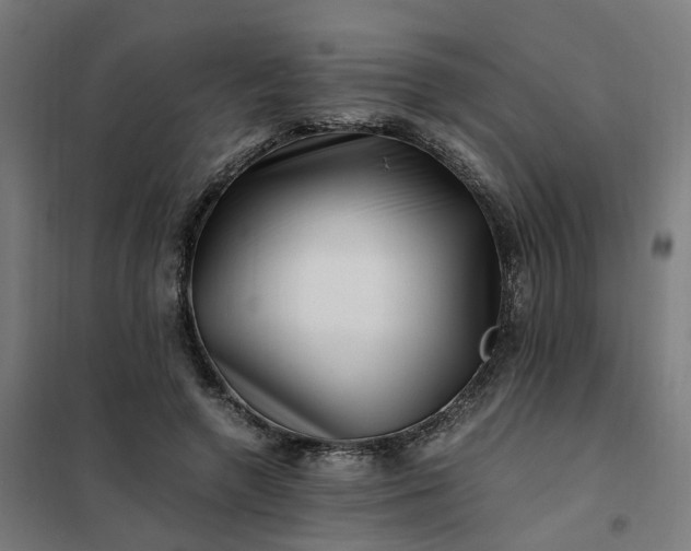 X0000101710546200807241458