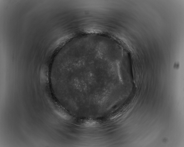 X0000101710547200807241458