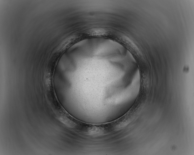 X0000101710549200807241458