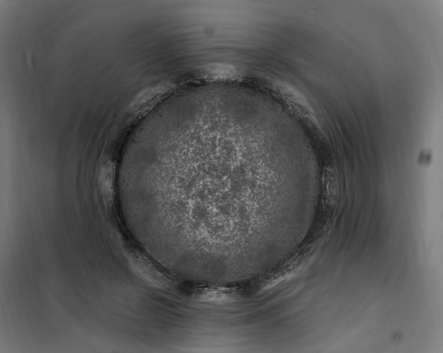 X0000101710550200807241458