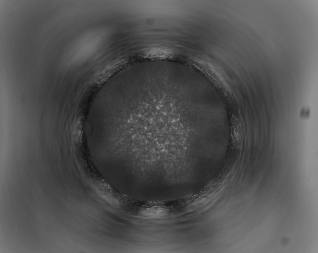 X0000101710551200807241458