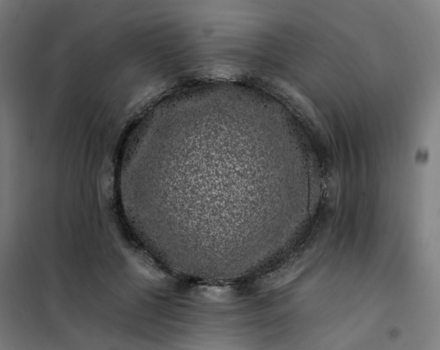 X0000101710552200807241458