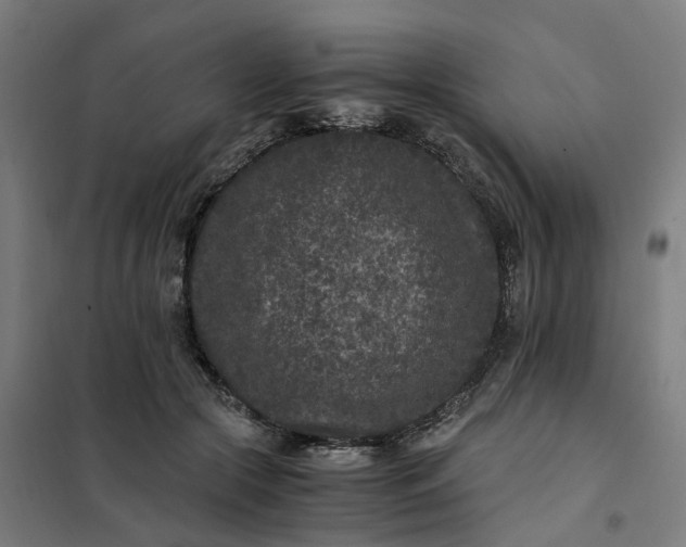 X0000101710553200807241458