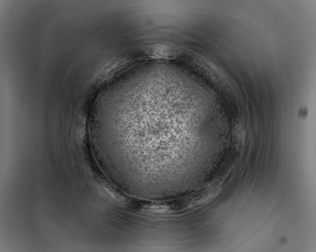 X0000101710554200807241458