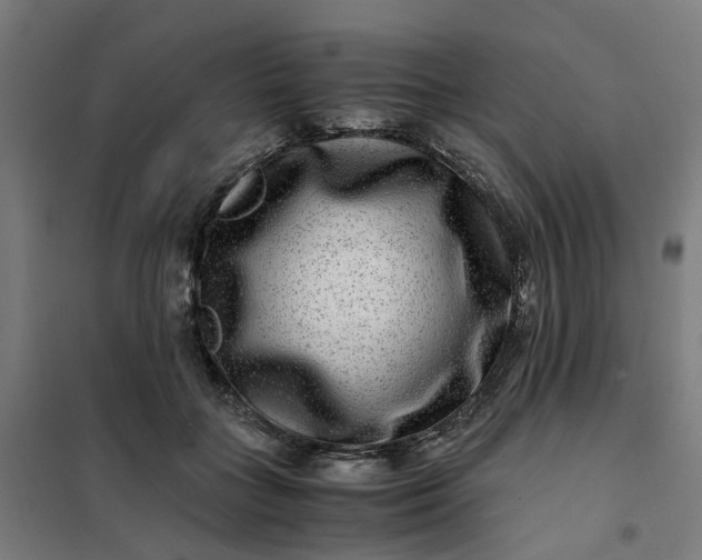 X0000101710555200807241458