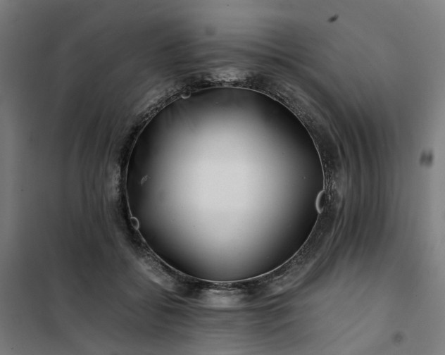 X0000101710556200807241458