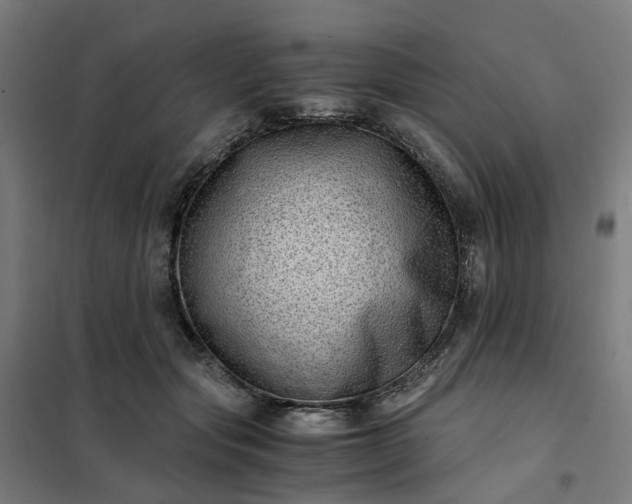 X0000101710557200807241458