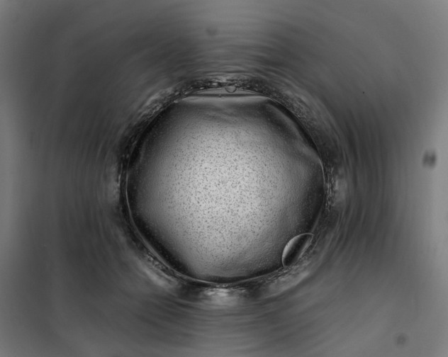 X0000101710558200807241458