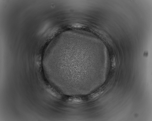 X0000101710559200807241458