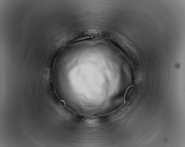 X0000101710560200807241458