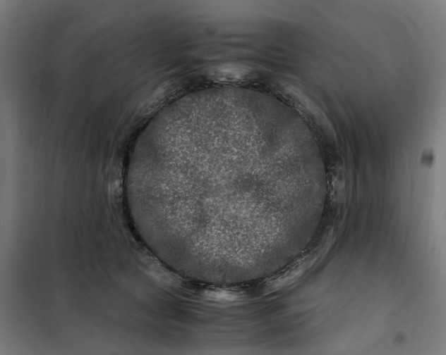 X0000101710561200807241458