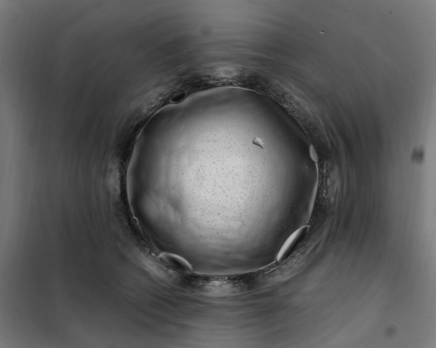 X0000101710562200807241458