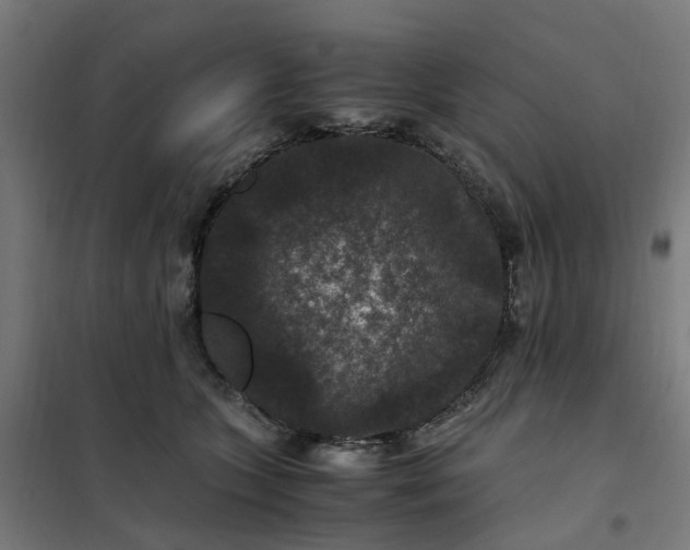 X0000101710563200807241458