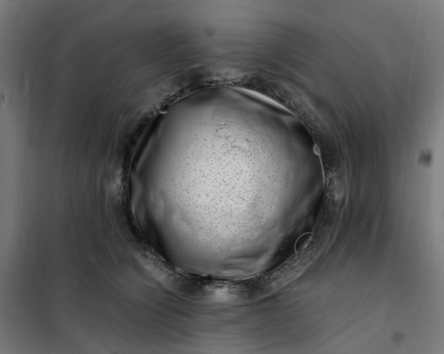 X0000101710564200807241458