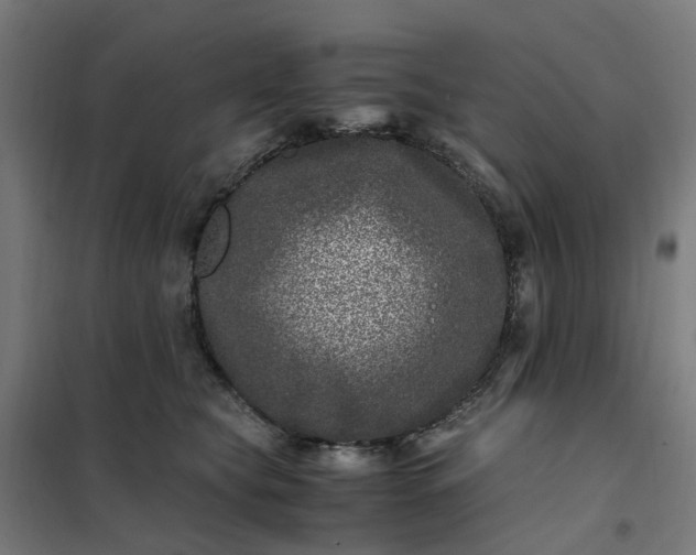 X0000101710565200807241458