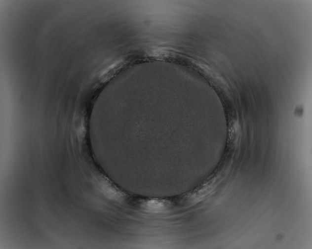 X0000101710566200807241458