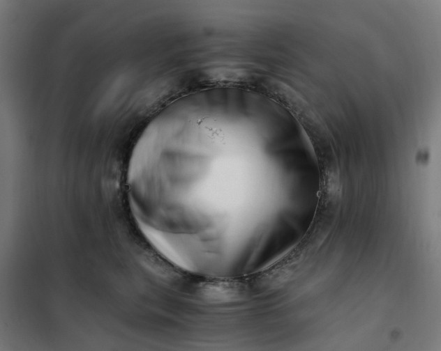 X0000101710567200807241458