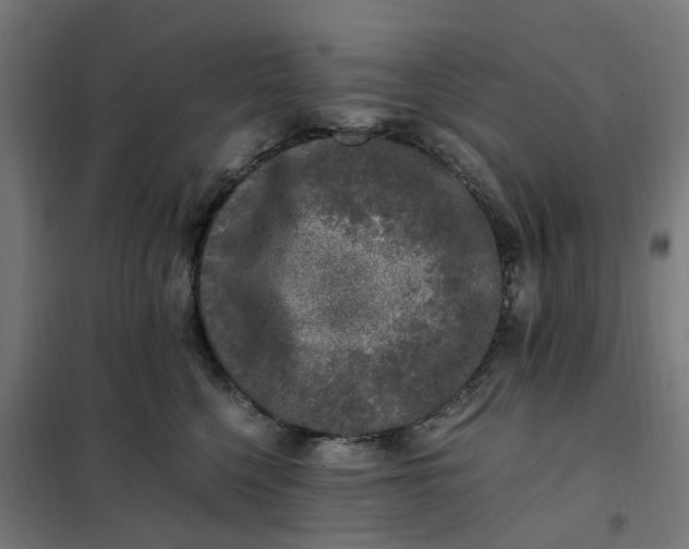 X0000101710568200807241458