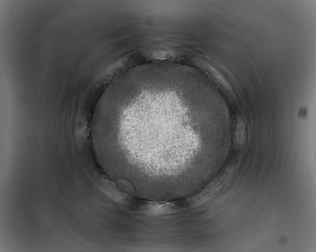 X0000101710569200807241458