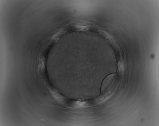 X0000101710570200807241458