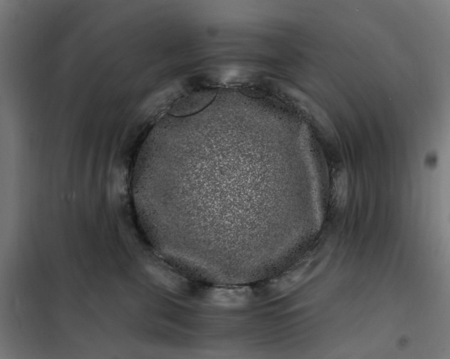 X0000101710571200807241458