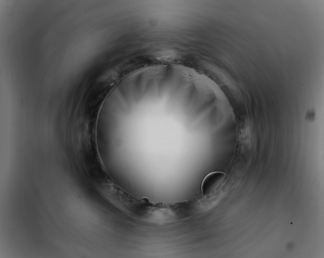 X0000101710572200807241458