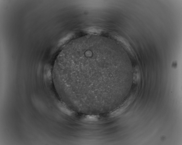 X0000101710573200807241458